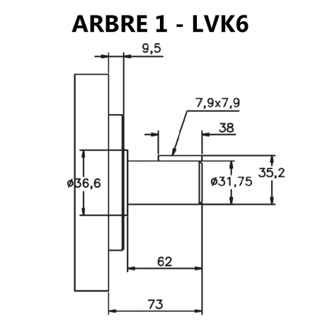 Arbre pour pompes à palettes pour pompes à palettes LVK6 (35V).