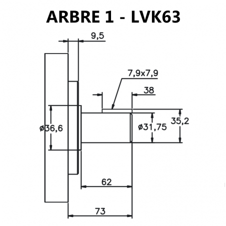 Arbre pour pompes à palettes LVK63 (3520V).