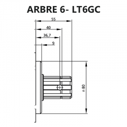 LT6GC - ARBRE
